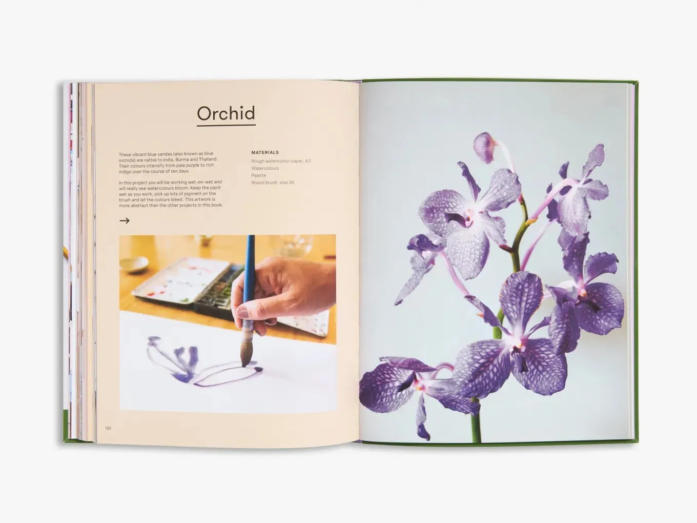 Thames & Hudson Art Class Flowers and Foliage bog begynder