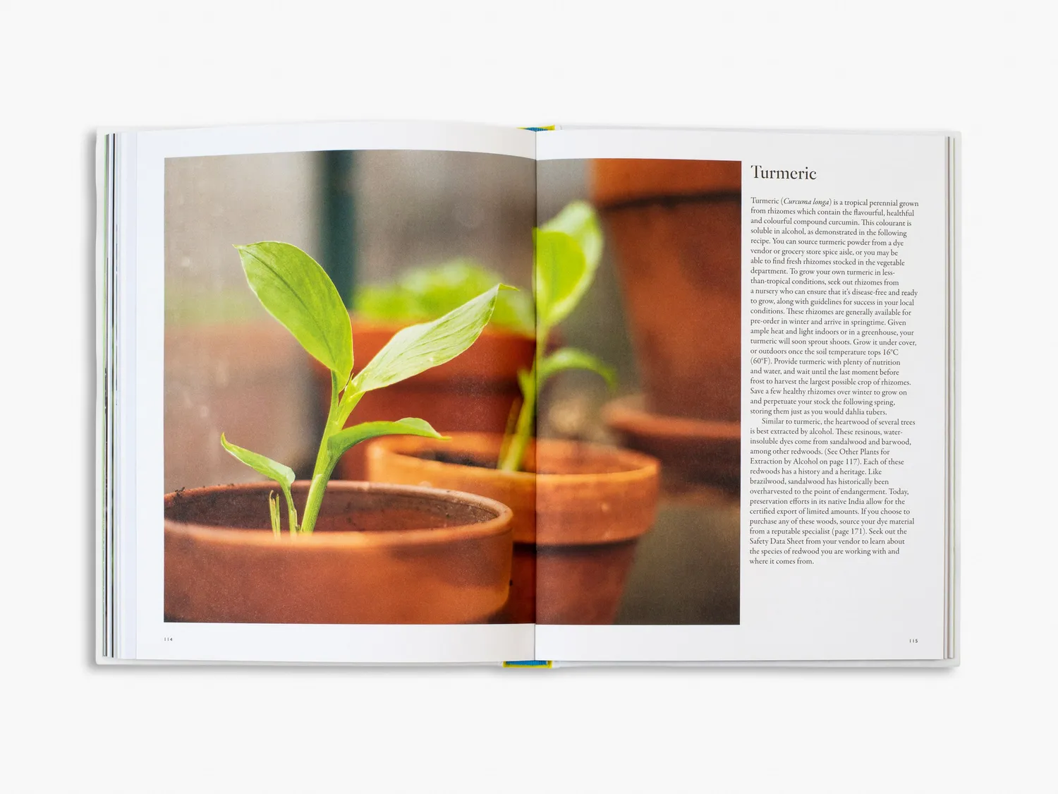 Thames & Hudson From Plant to Pigment håndbog farver