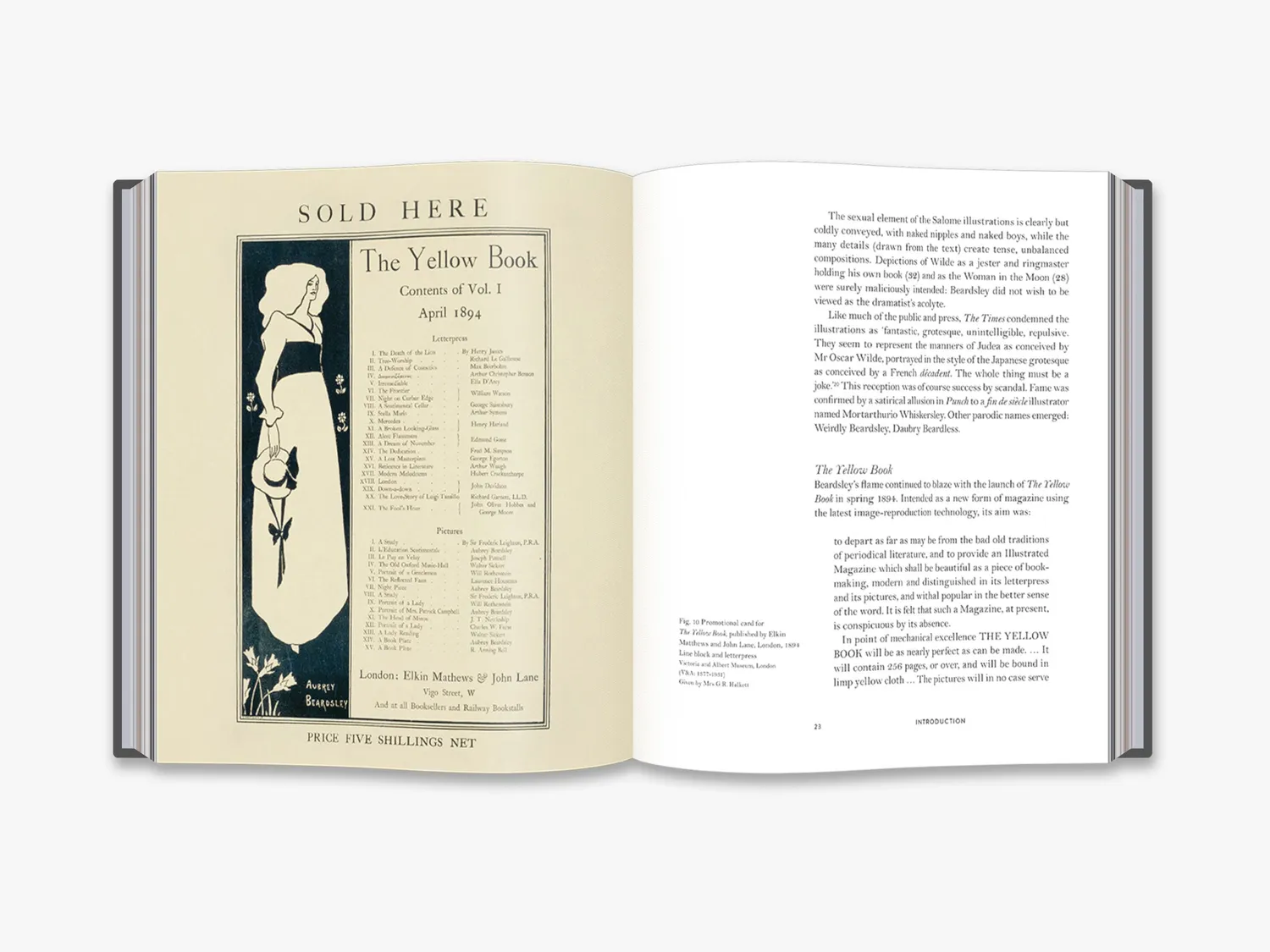 Thames & Hudson Aubrey Beardsley kunstbog Artists in Focus