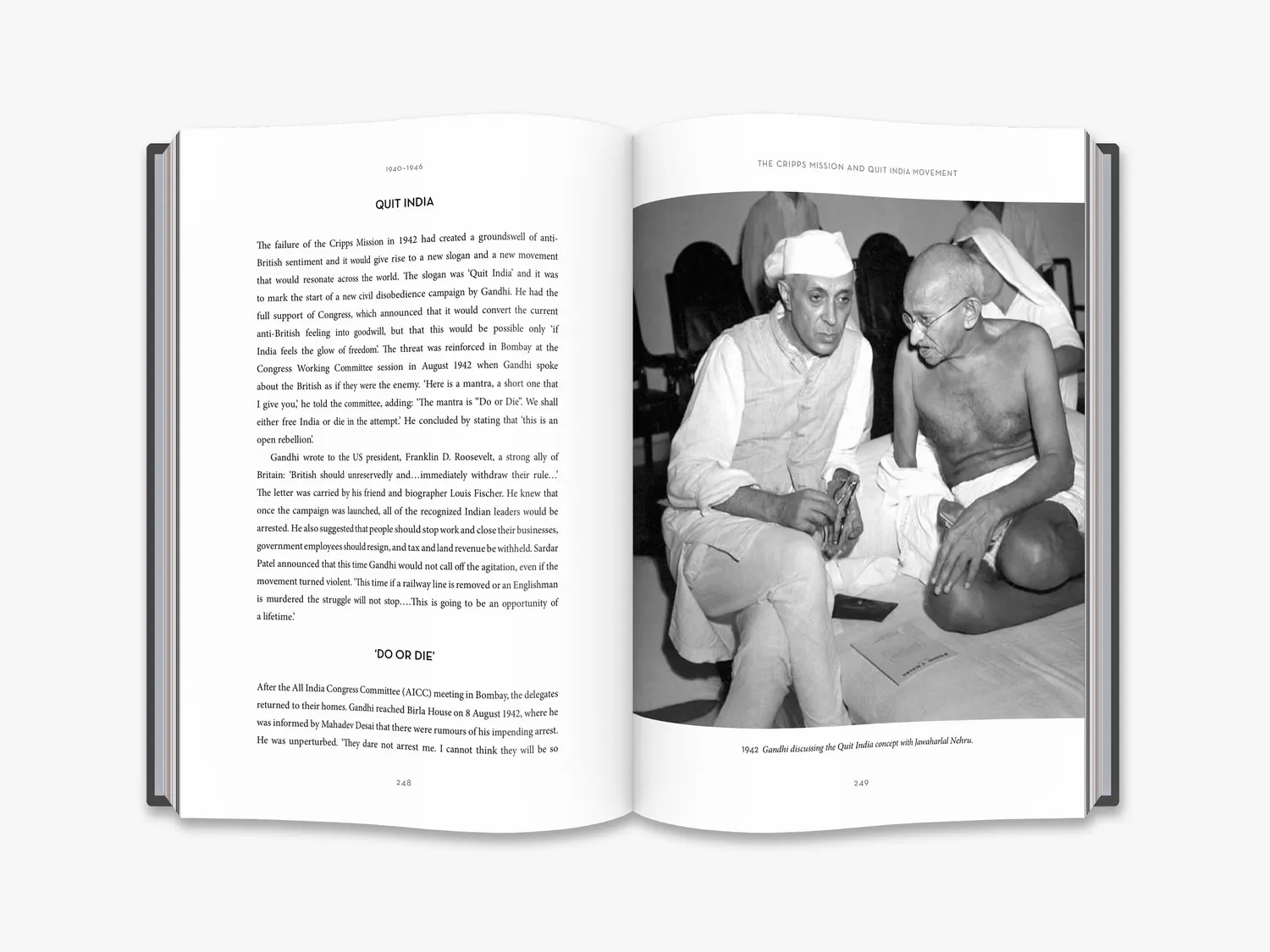 Thames & Hudson Gandhi bog illustreret biografi