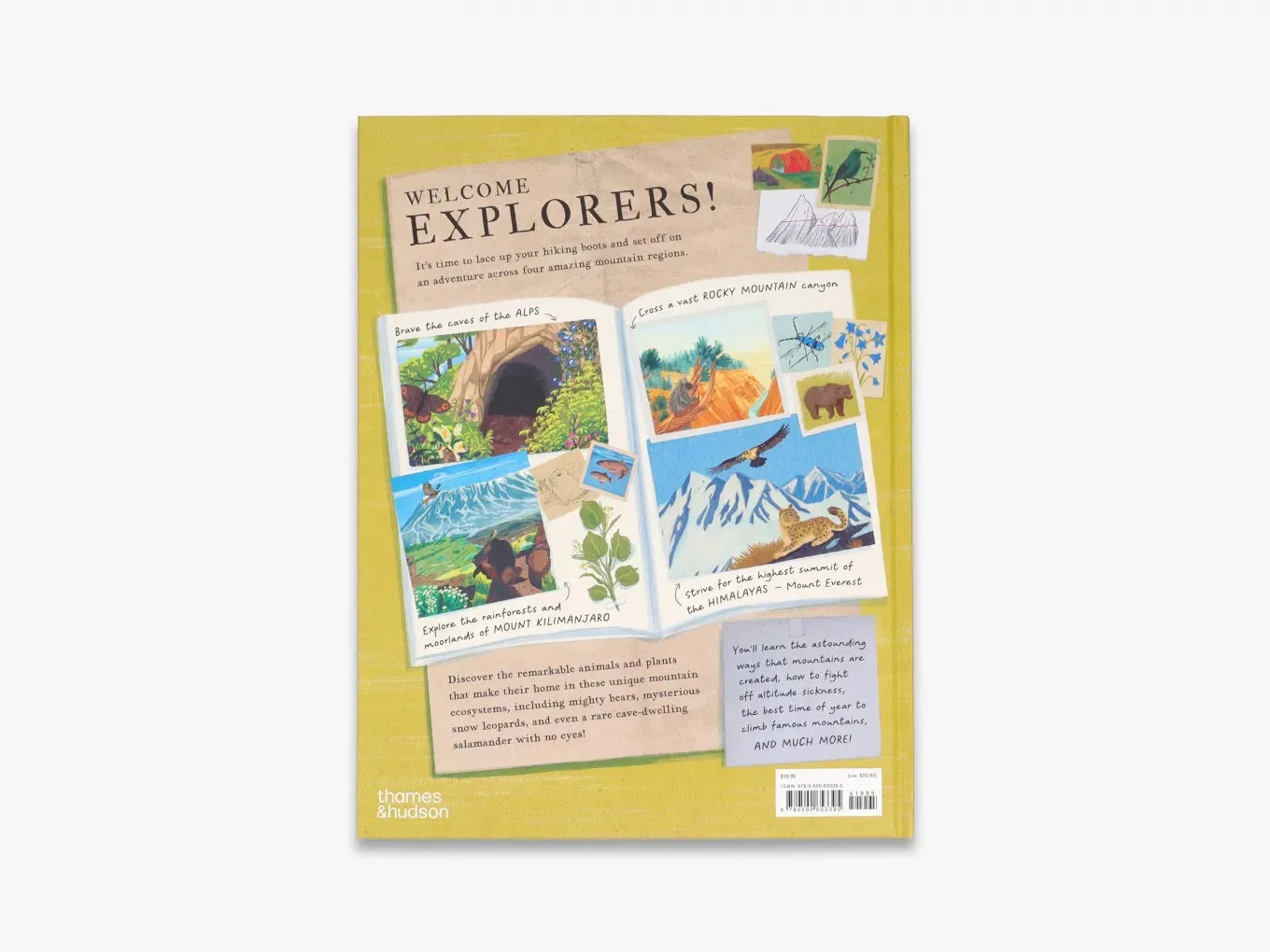 Thames & Hudson Young Explorers There's a Mountain in This Book børnebog