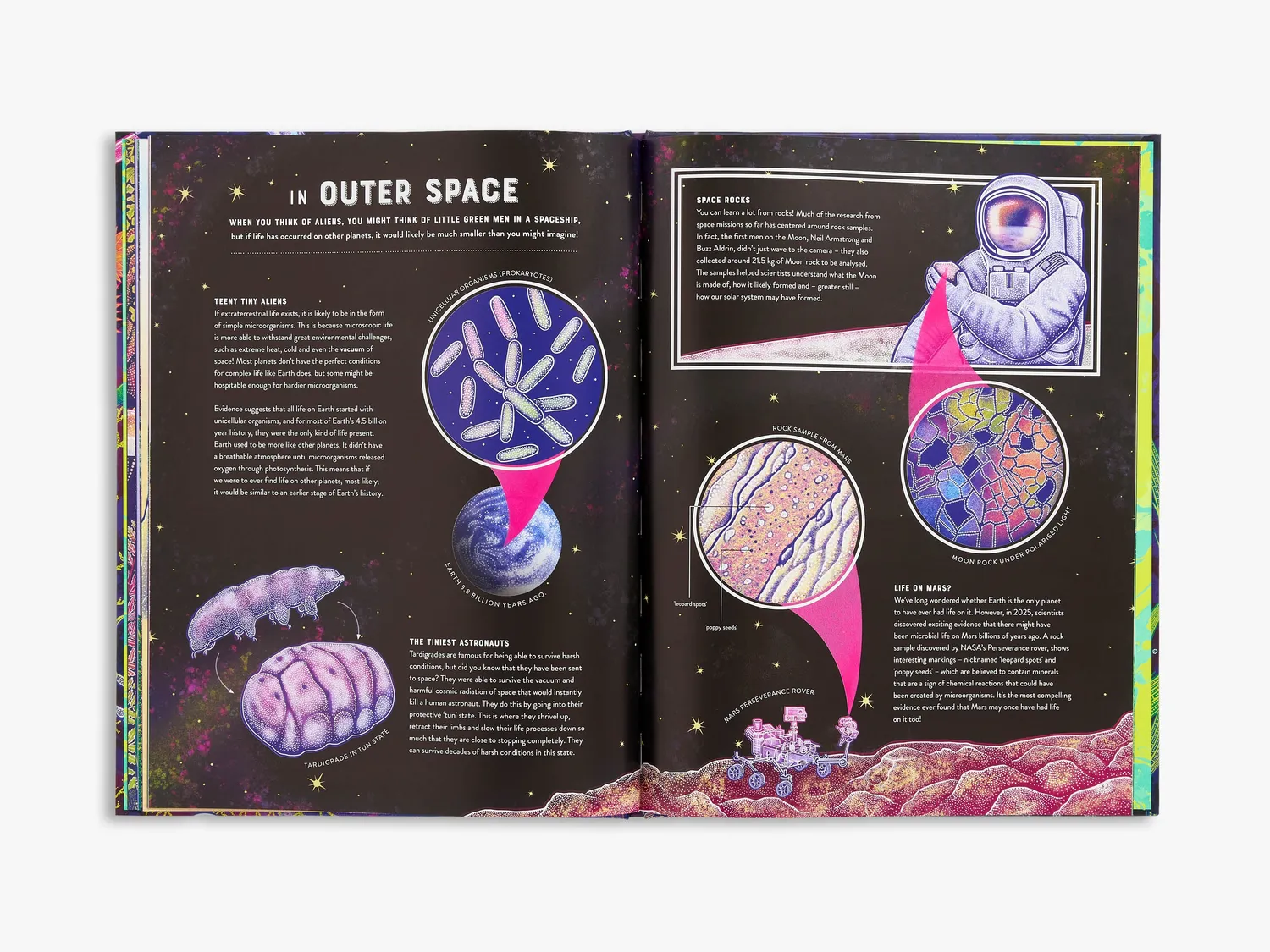 Thames & Hudson Wild Wonders Micro børnebog om mikroliv