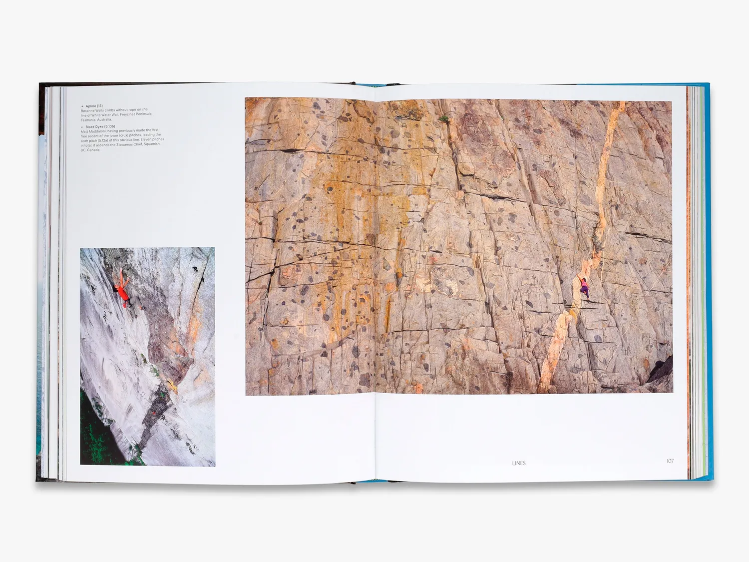 Thames & Hudson The Art of Climbing bog om klatring