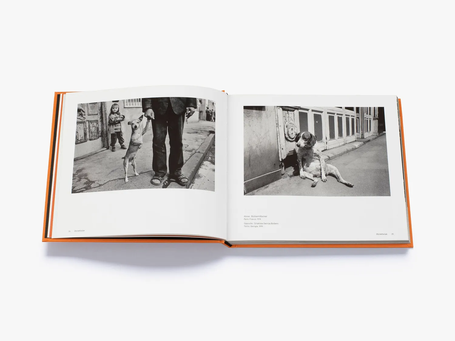 Thames & Hudson Magnum Dogs fotobog hundebilleder