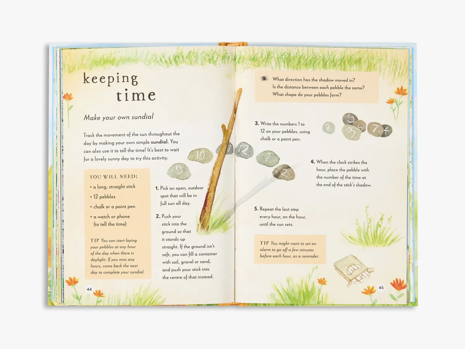 Field Guide A Field Guide to Summer læsebog børn