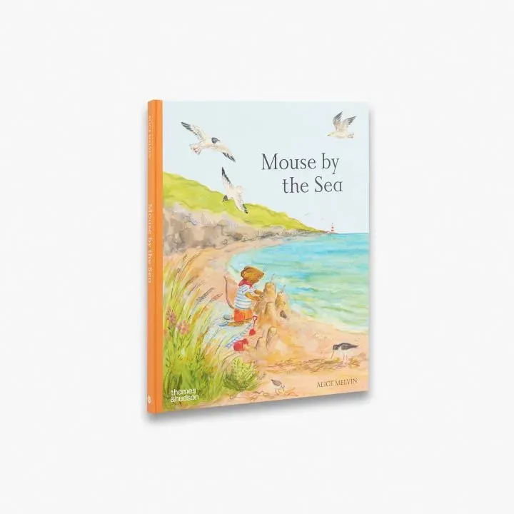 Thames & Hudson Mouse by the Sea billedbog børnebog