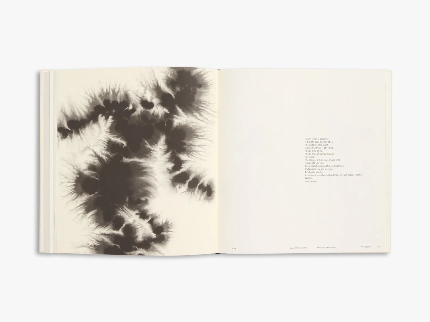 Thames & Hudson Drawing Antony Gormley bog illustreret