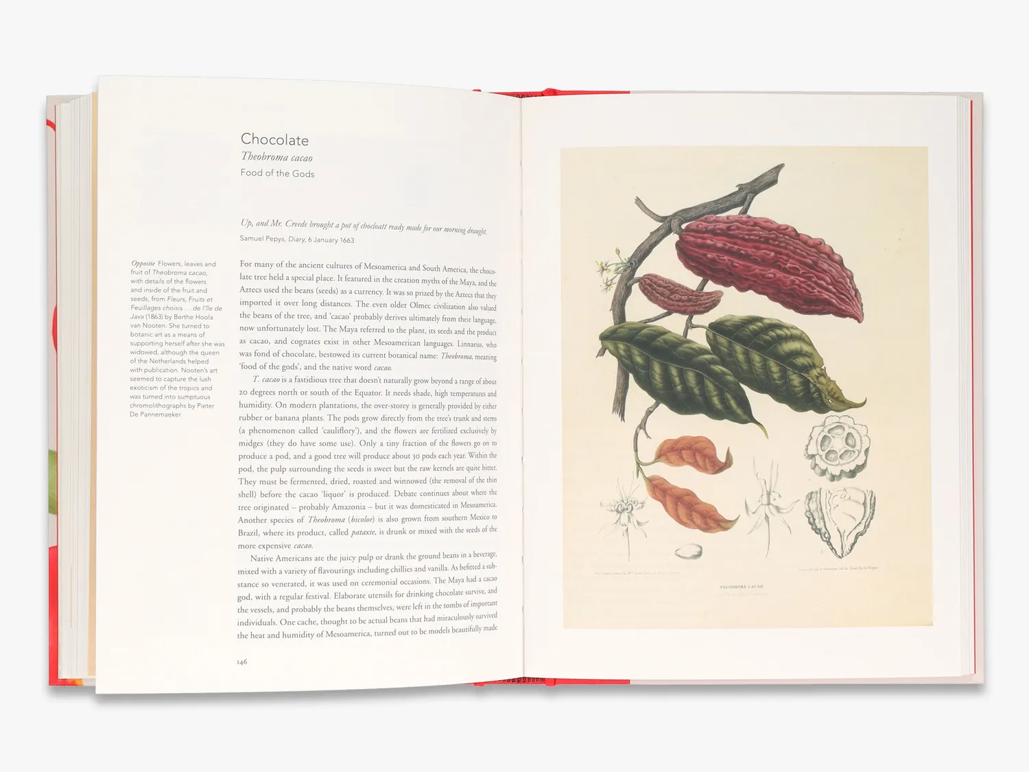 Thames & Hudson Remarkable Plants fagbog botanik