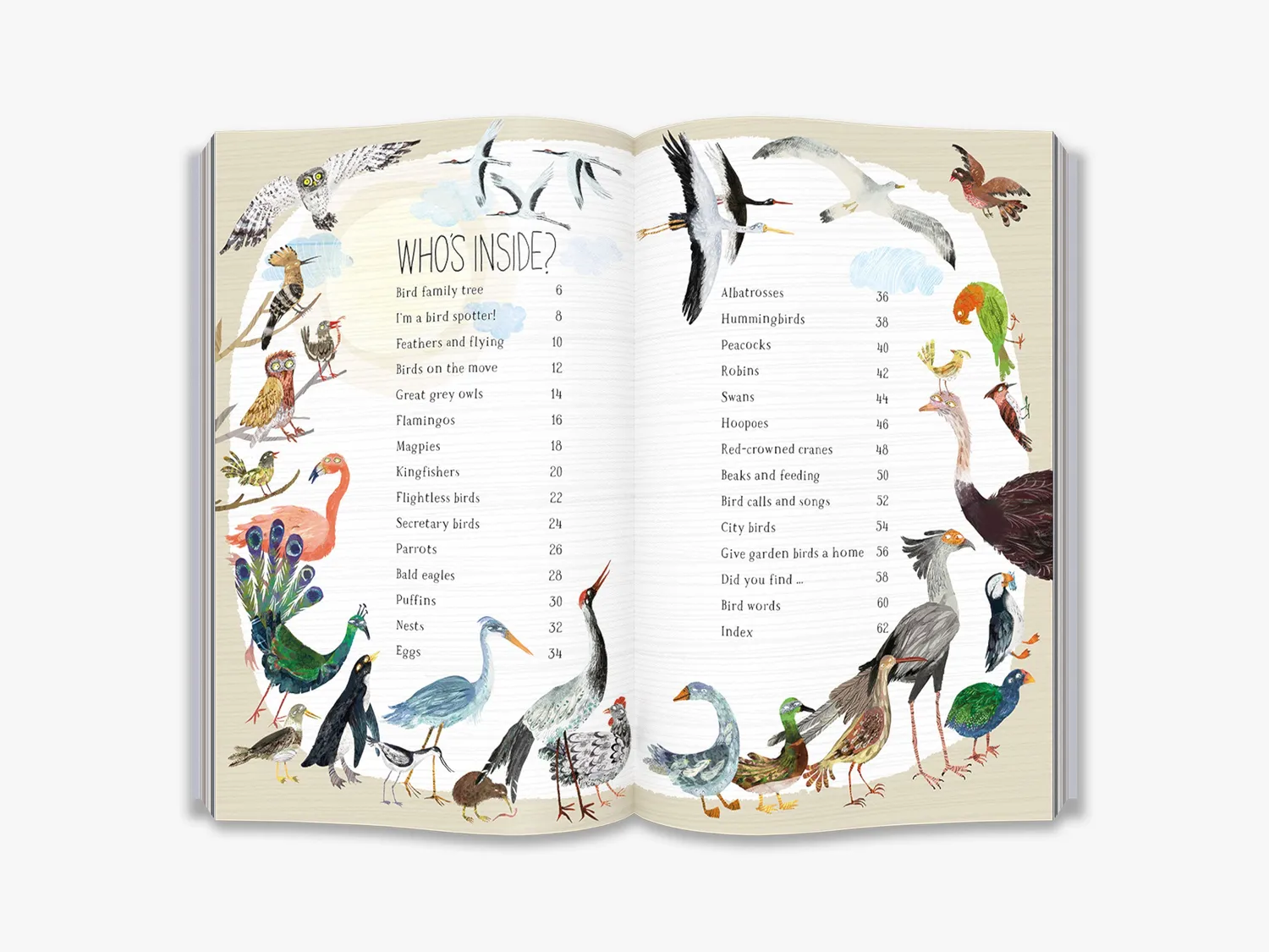 Thames & Hudson The Big Book of Birds børnebog fugle