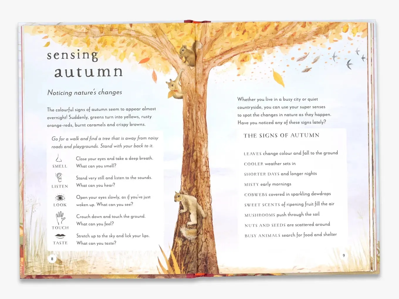 Thames & Hudson Field Guide to Autumn fagbog om efterår